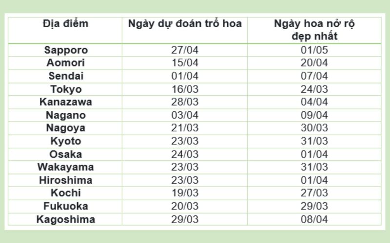 lịch nở hoa anh đào 2023 lịch nở hoa anh đào 2023
